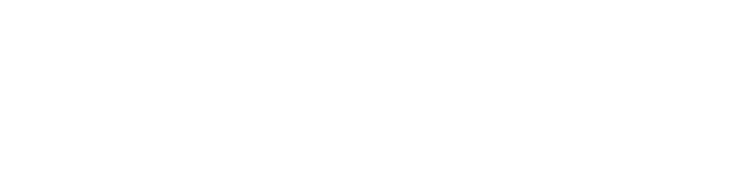Opus-Two ICS