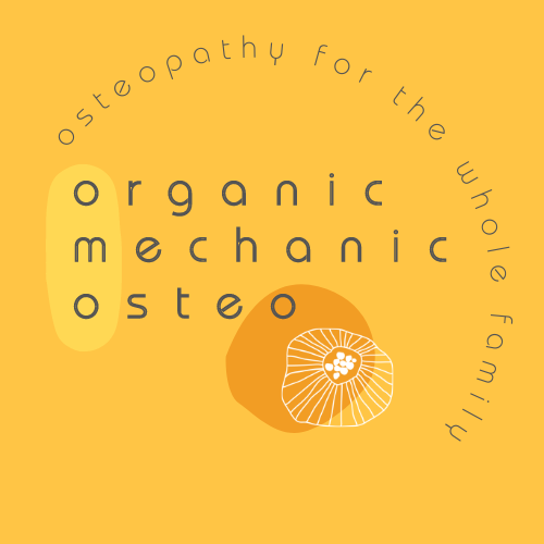 Organic Mechanic Osteo