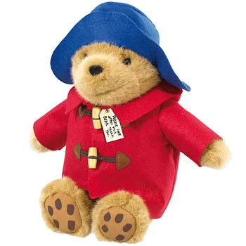 paddington teddy