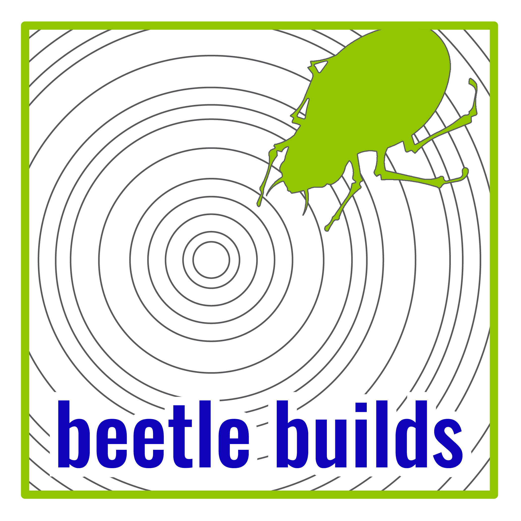 beetle builds