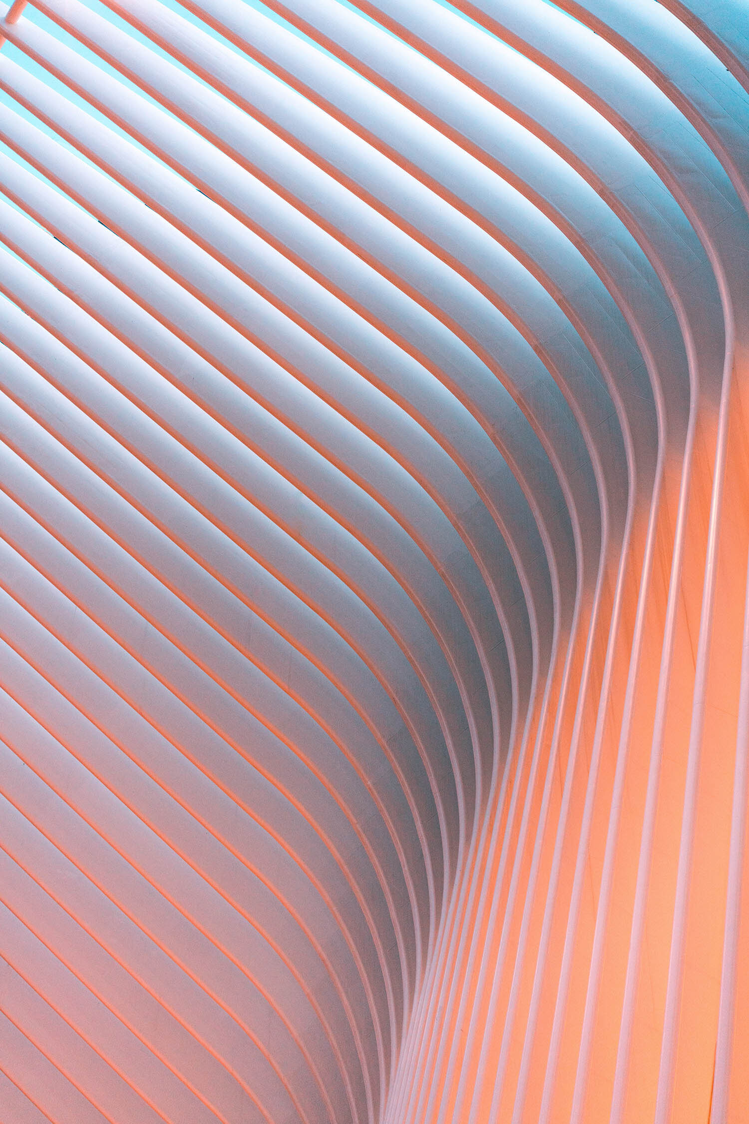 cs-unsorted-vertical01.jpg
