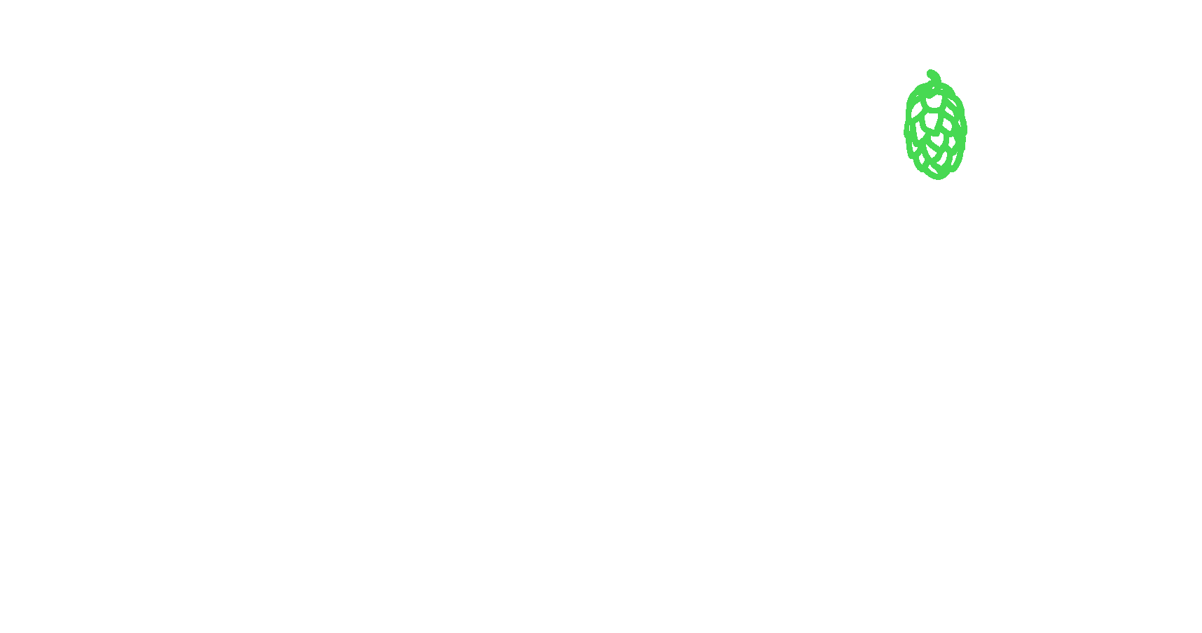 Spyglass Brewing Company