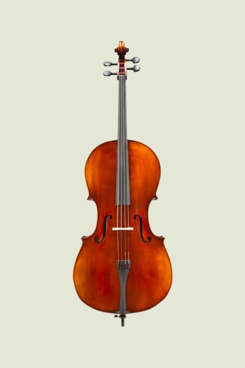 Support de violoncelle Orso Stevie Bia C - H51