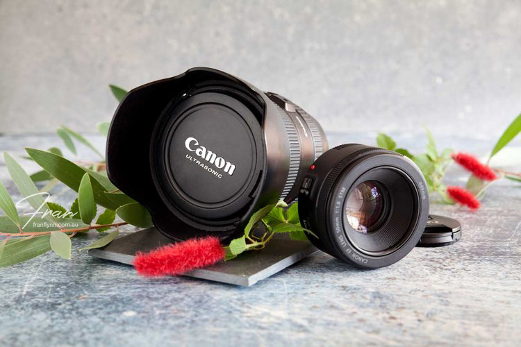 Zoom-lens-Versus-Prime-Lens-Sml.jpg