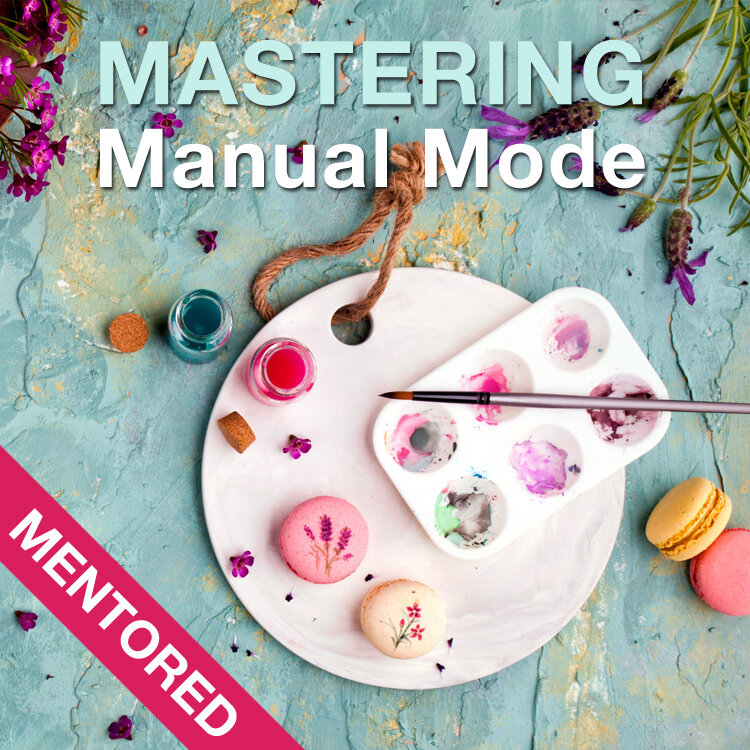 MMM-CoursePage-Mentored.jpg