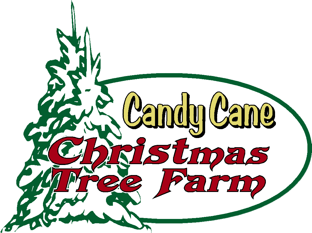 Candy Cane CHRISTmas Tree Farm