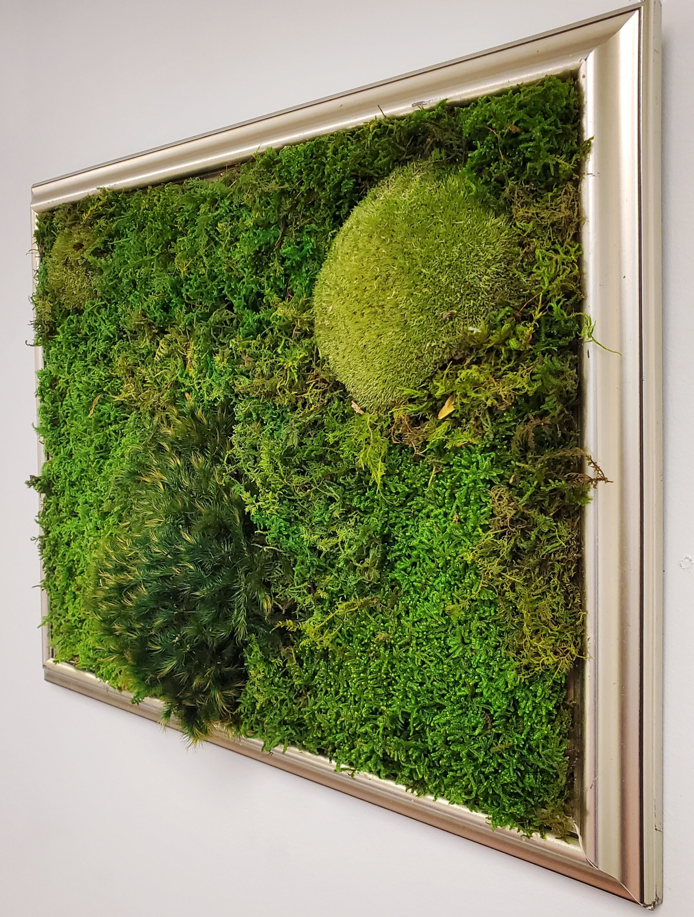 Upcycled Moss Walls - Medium — Urban Blooms