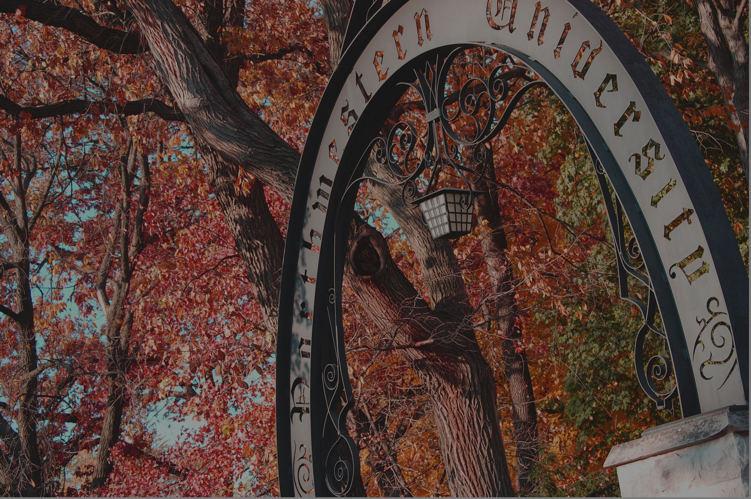 asg-website-fall-banner.jpg