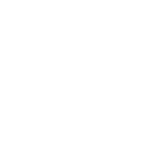 Red Zeppelin Productions