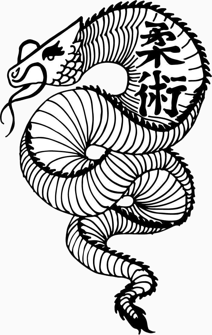 Dragon Jiu-Jitsu Dojo
