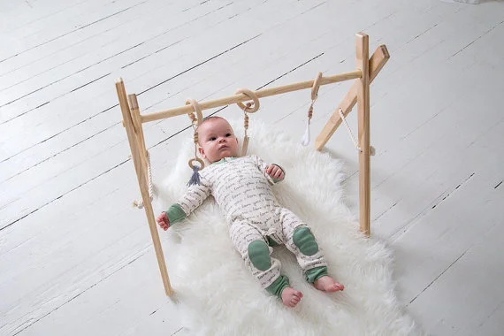 timber play gym