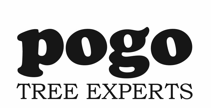 Pogo Tree Experts