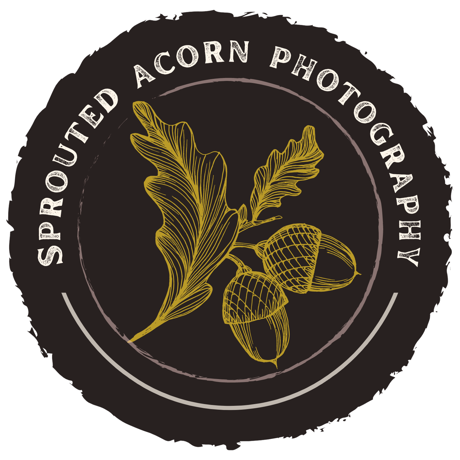 Sprouted Acorn Photography