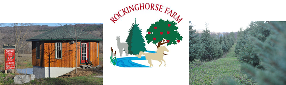 Rocking Horse Farm