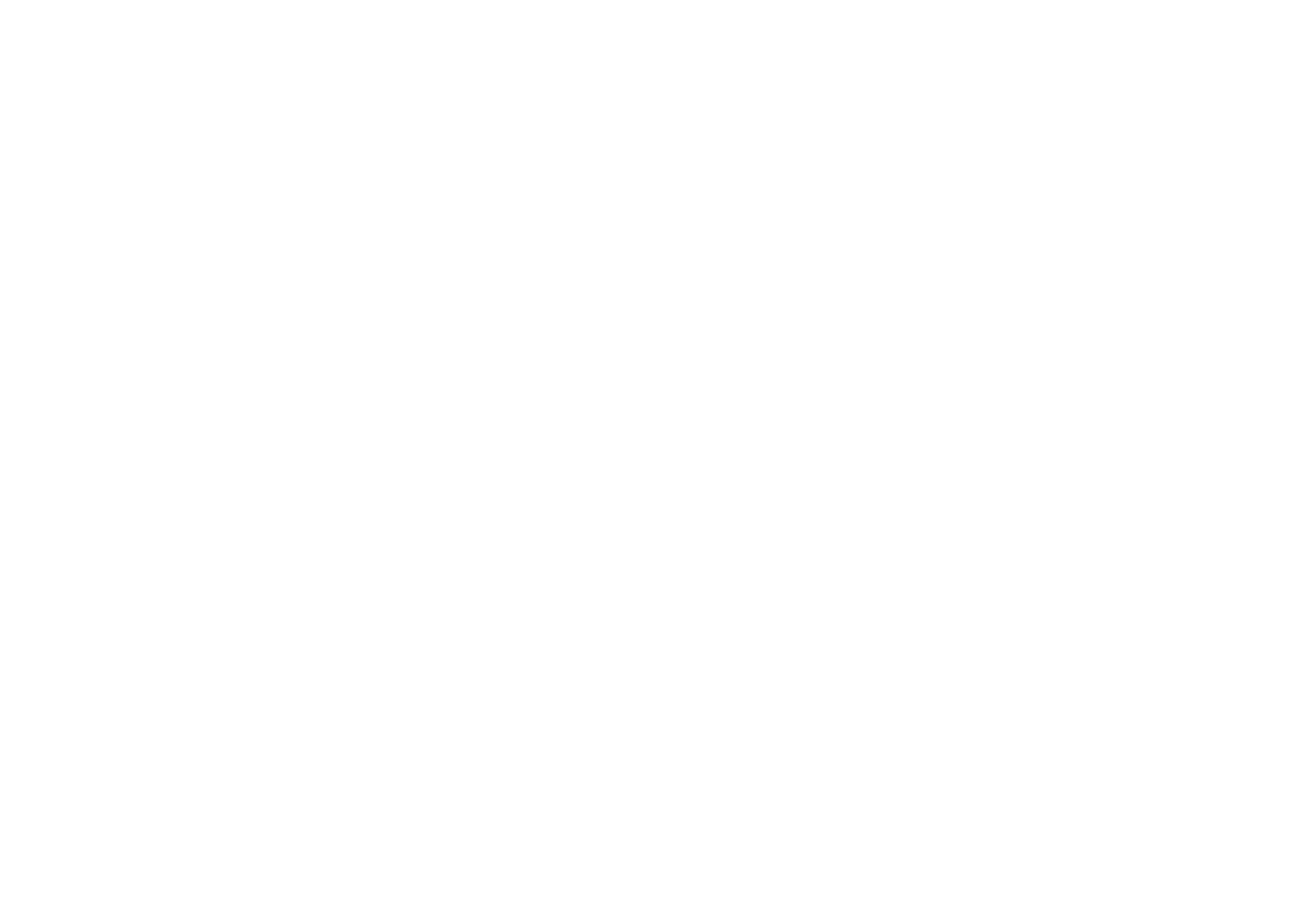 The Warrior Agency