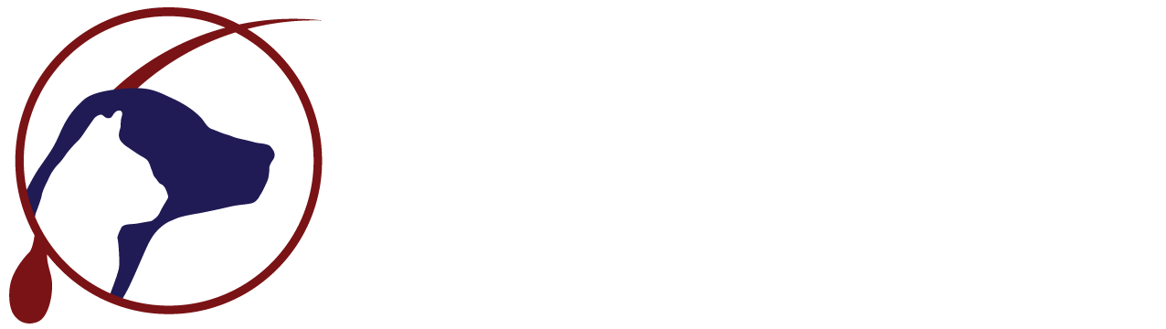 Dermatology for Animals