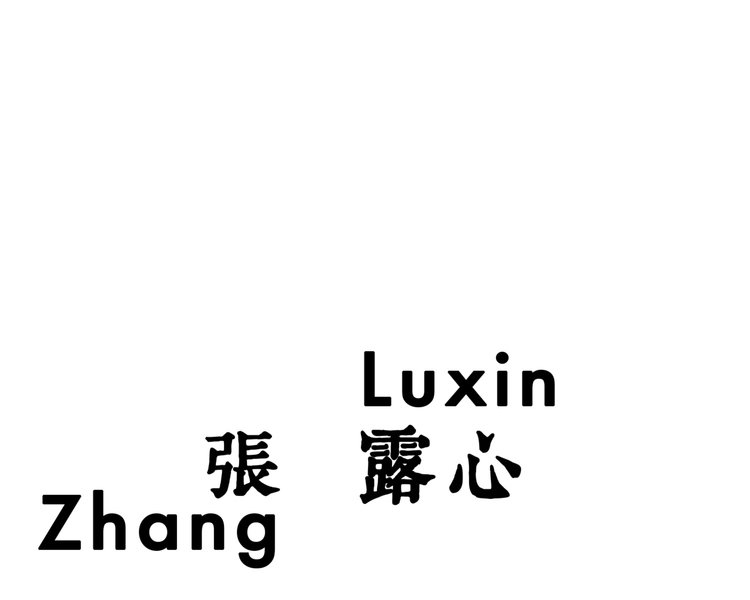Luxin Zhang