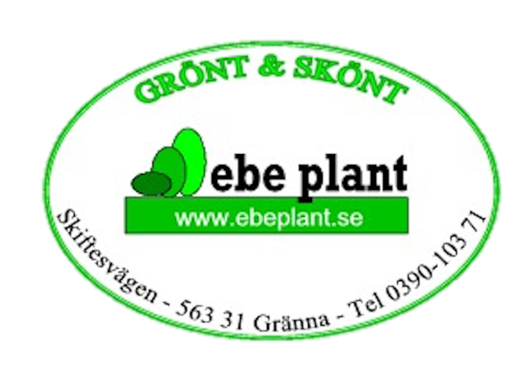 Ebe Plant