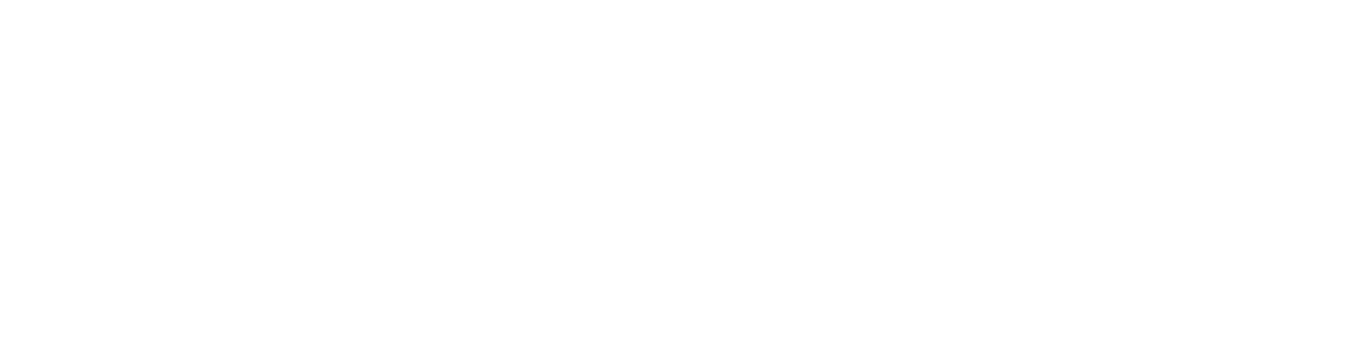 The Orchestra Big Band