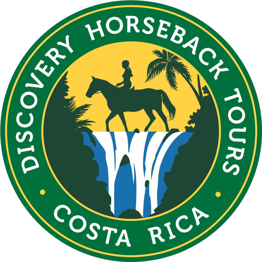 Discovery Horseback Tours