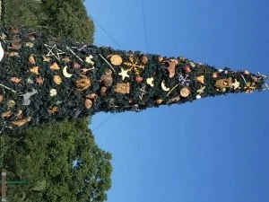 IMG_8979