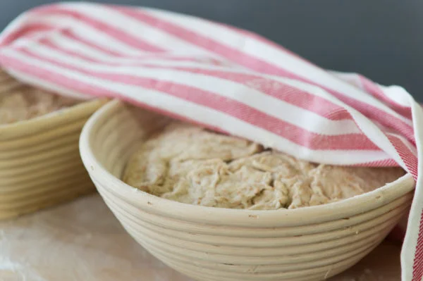 Rising bread dough in banneton