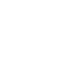 Elm City Social