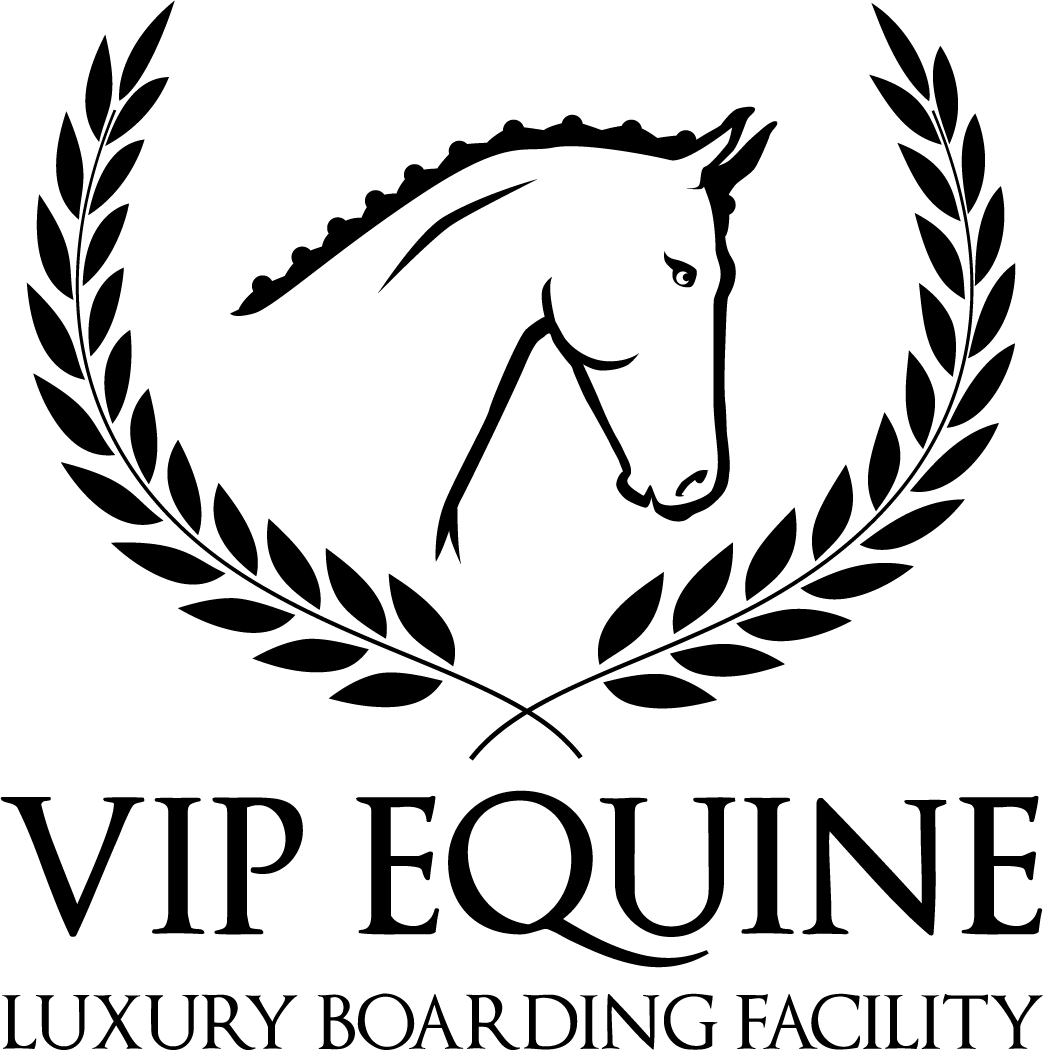 VIP EQUINE Luxury Boarding Facility