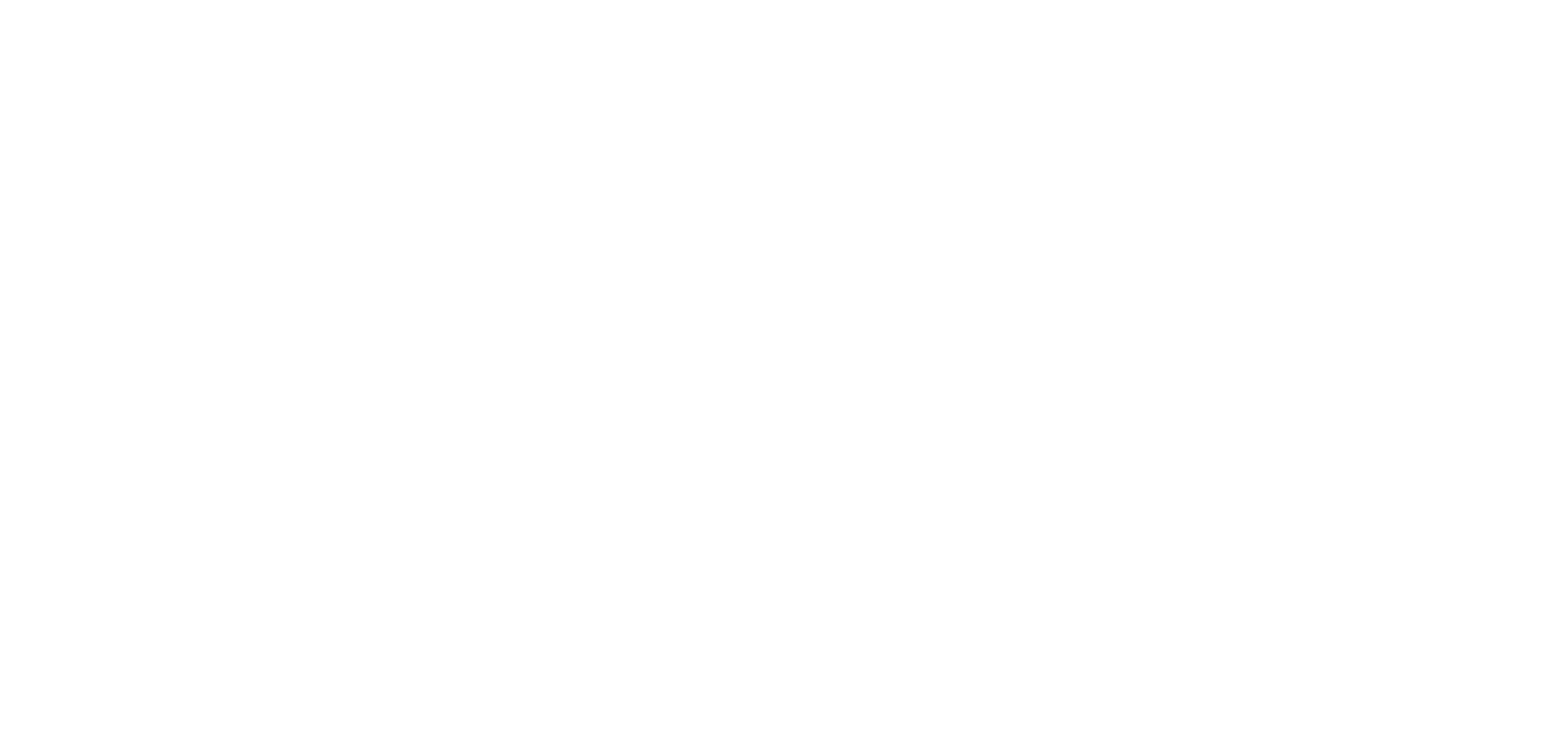 YSI Southeast Asia