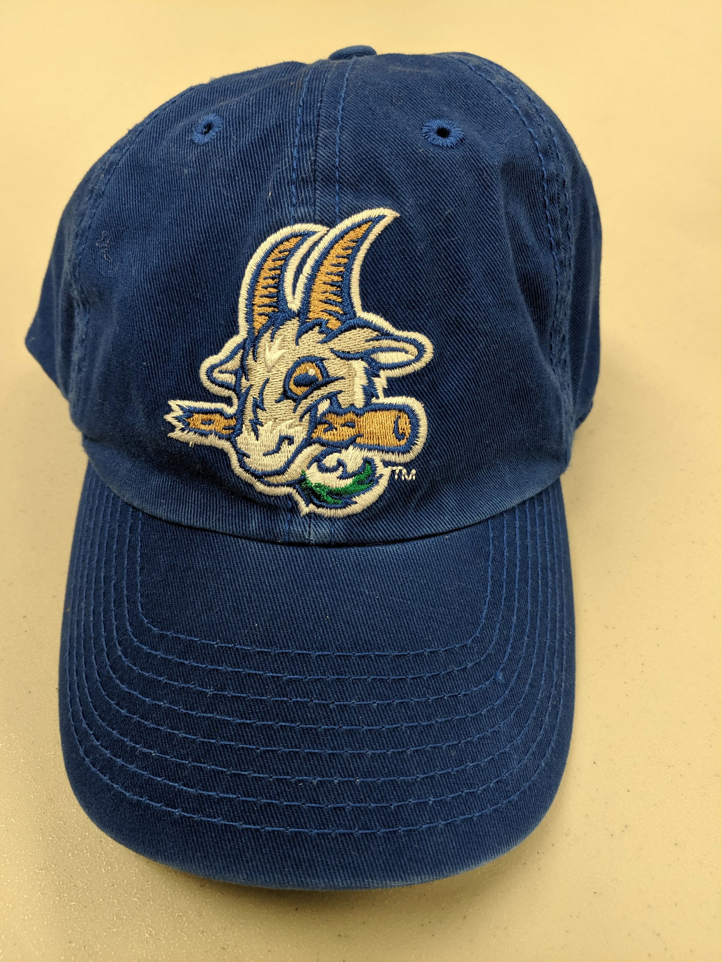 yard goats baseball hat