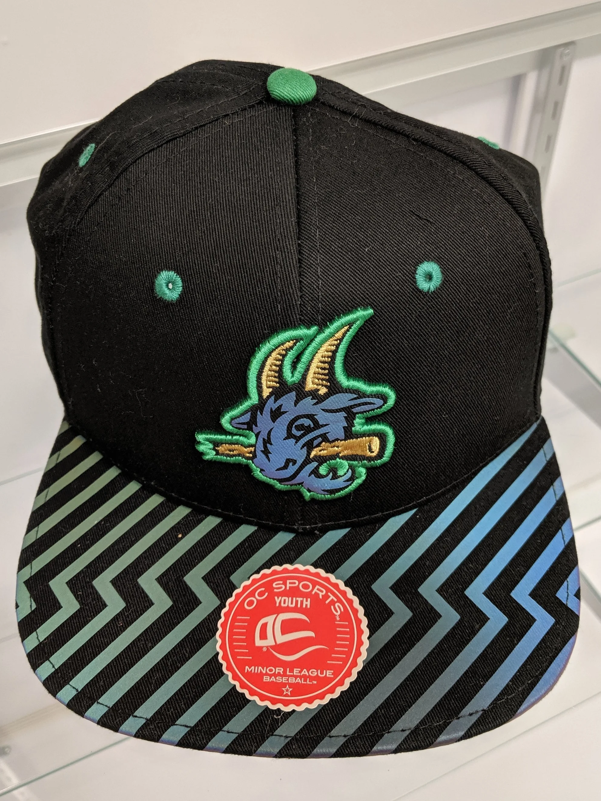 yard goats baseball hat