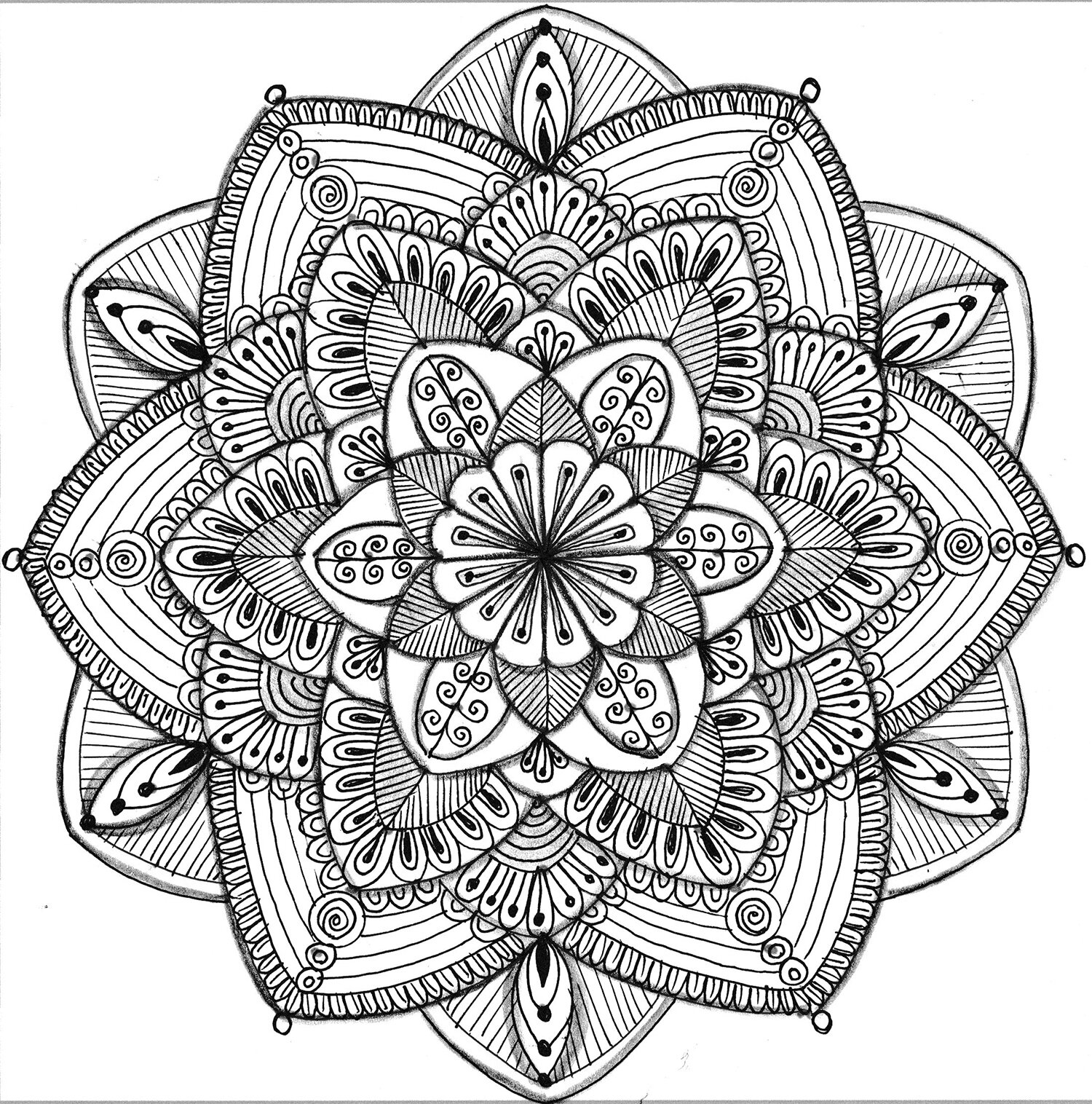 Introduction Drawing with Mandalas - On-Demand Virtual Art Class — Moose Gallery