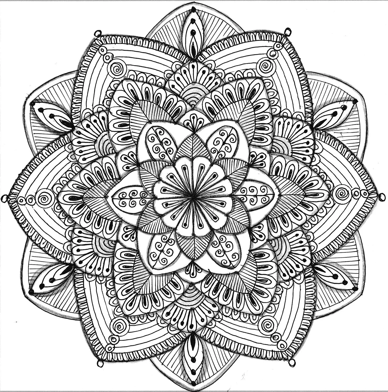 serveerster koppeling Blauwdruk Introduction to Drawing with Mandalas - On-Demand Virtual Art Class — Blue  Moose Art Gallery