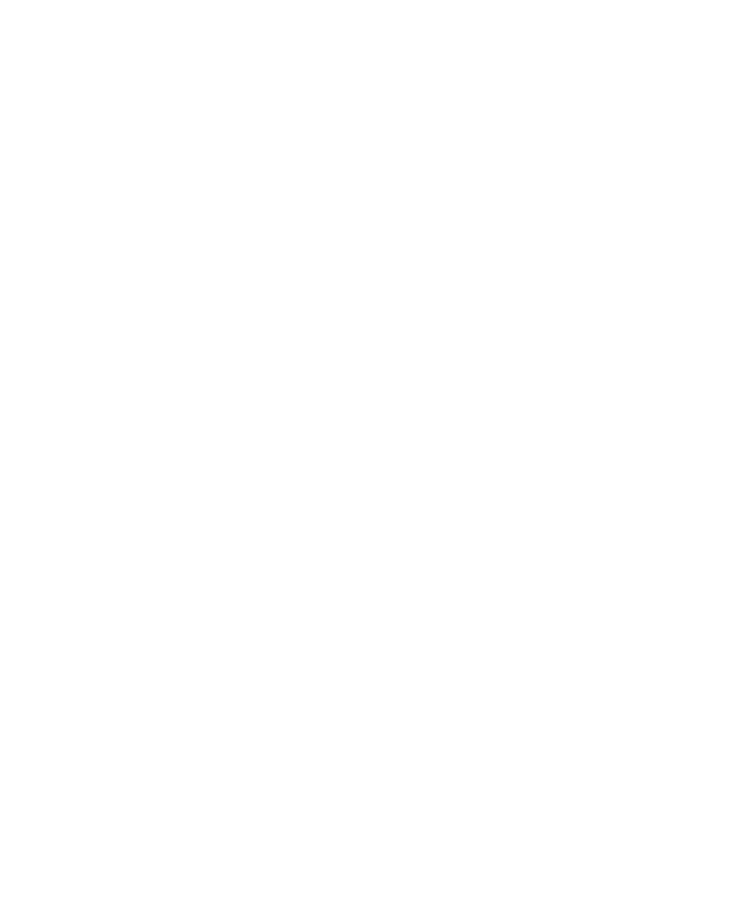 DJ Mike Mogul
