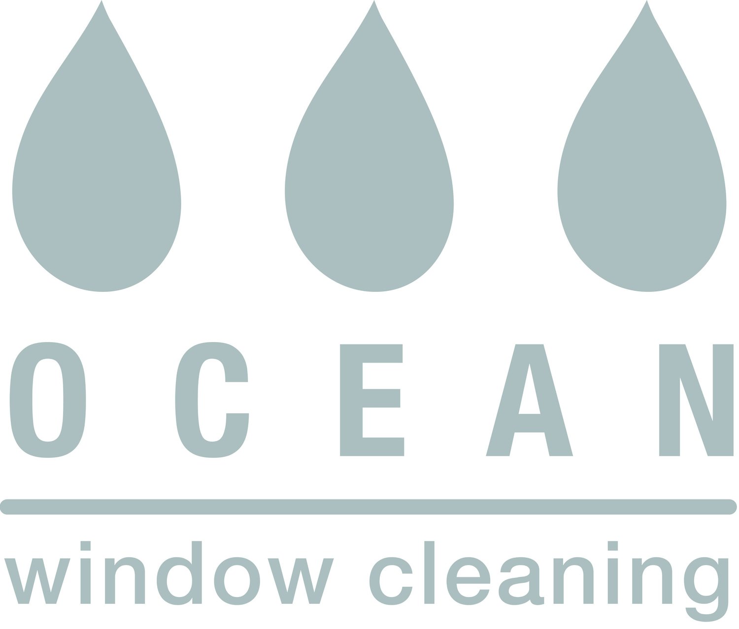ocean window cleaning