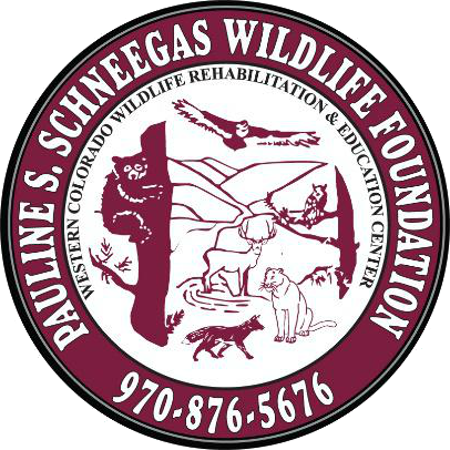 Pauline S. Schneegas Wildlife Foundation