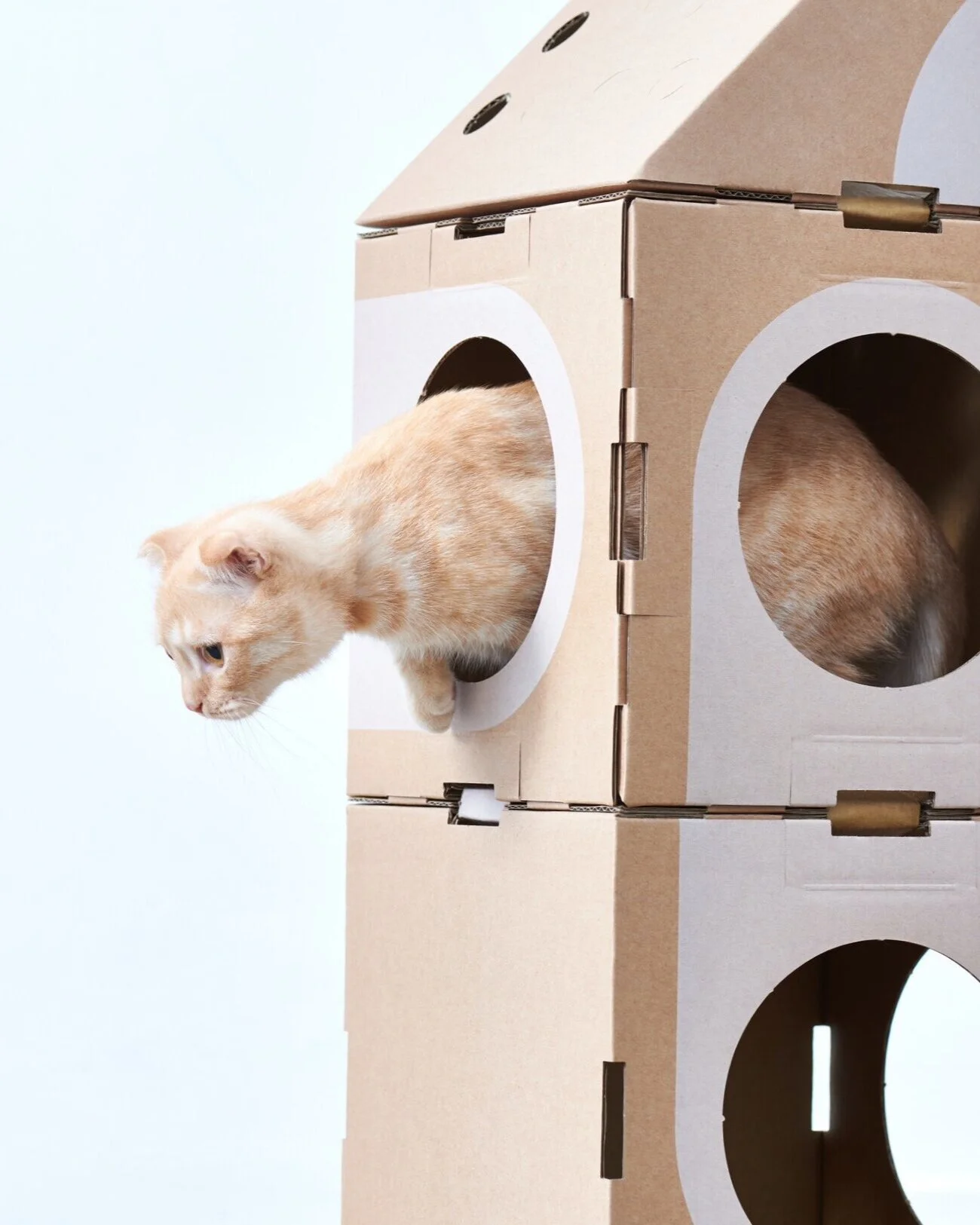 Домик Для Кота Из Картонной Коробки