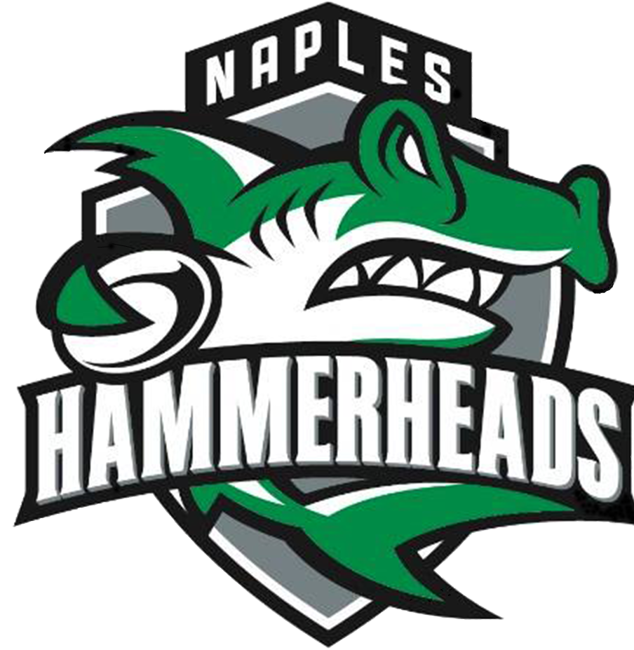 Naples Hammerheads
