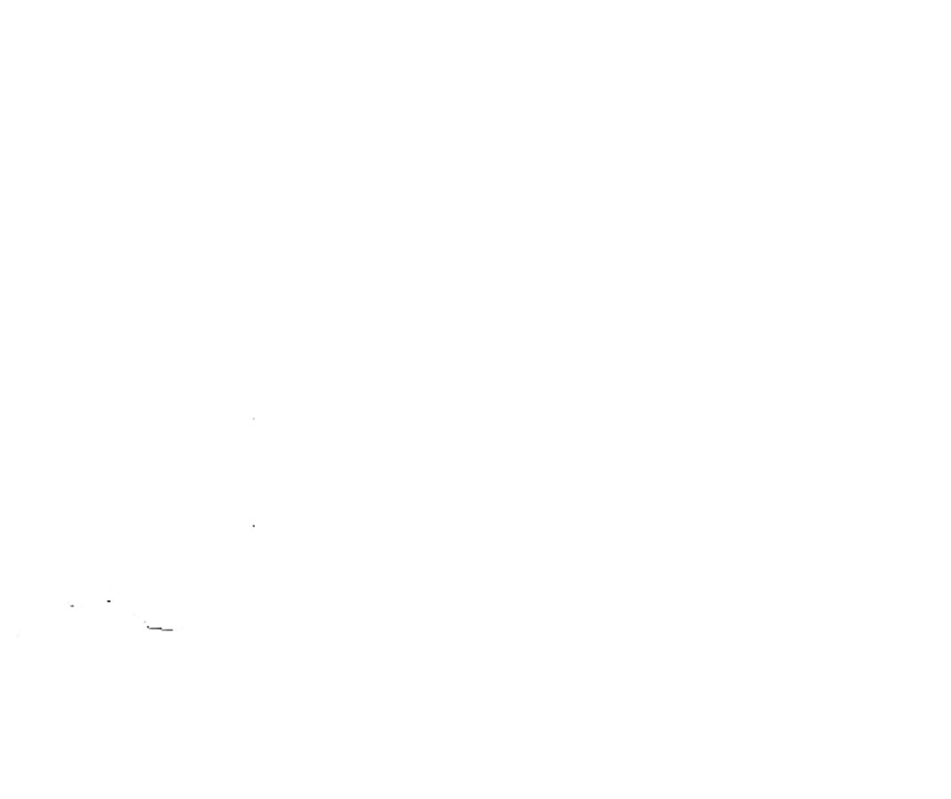     Palank Chiropractic
