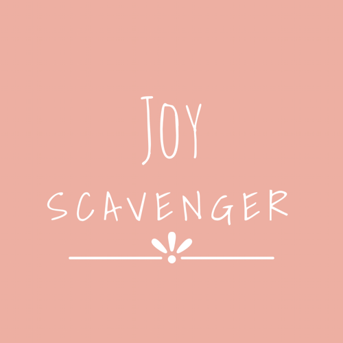 Joy Scavenger