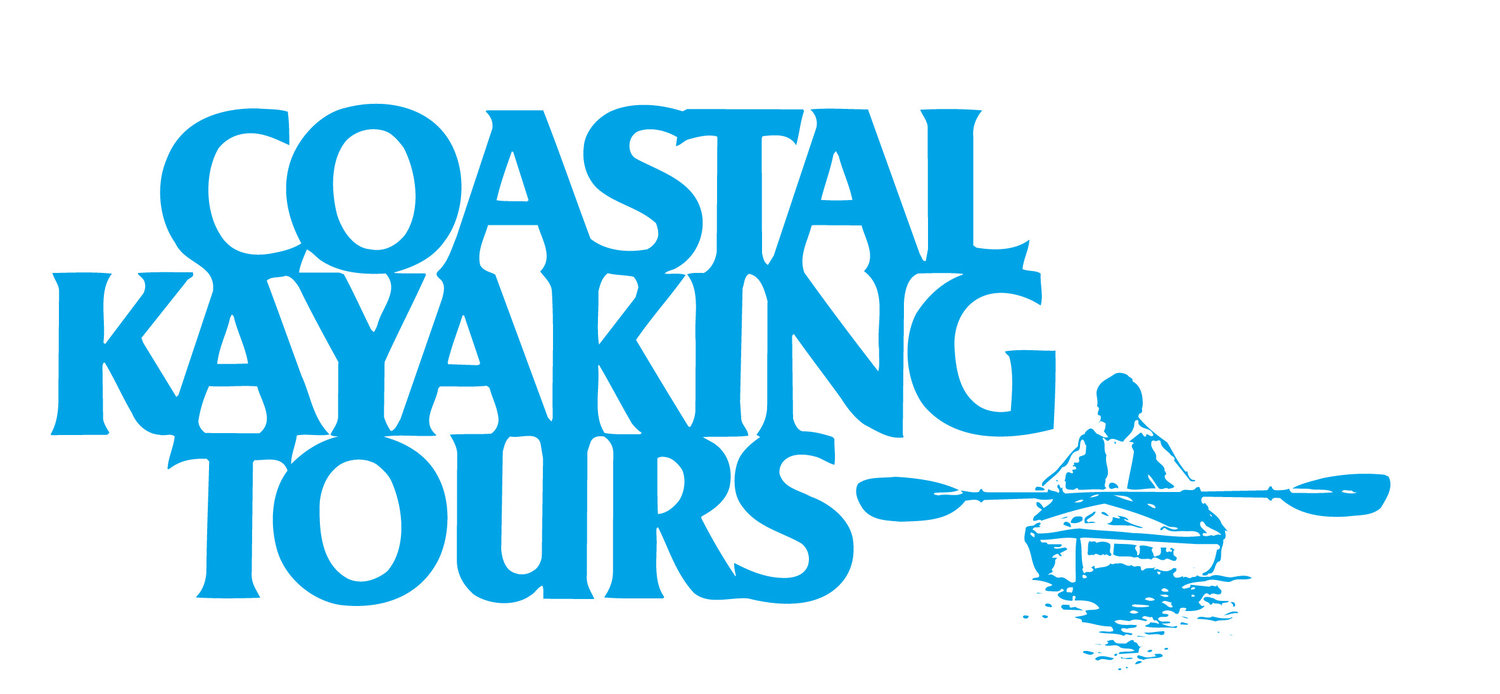 Coastal Kayaking Tours