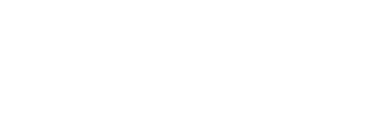 DelMonte Hotel Group