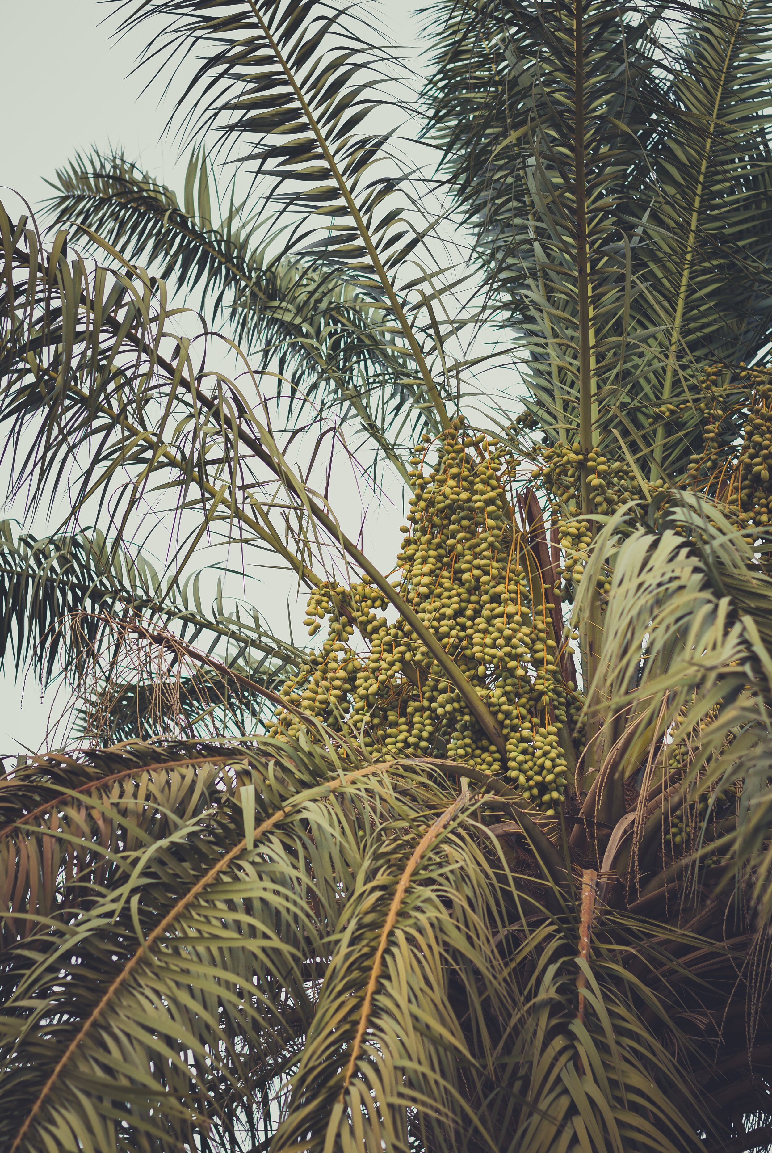ashkan-forouzani-ms_CZDL3Iew-unsplash.jpg