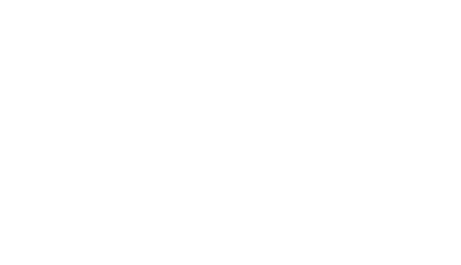 RAMI SHAMI CONSULTING