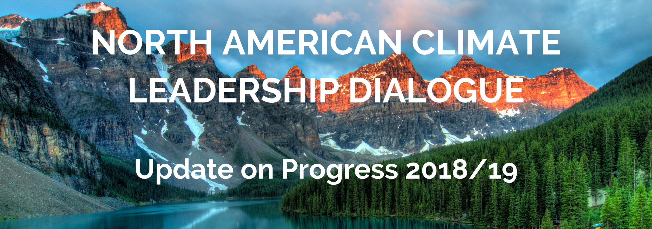 NACLD Progress Update