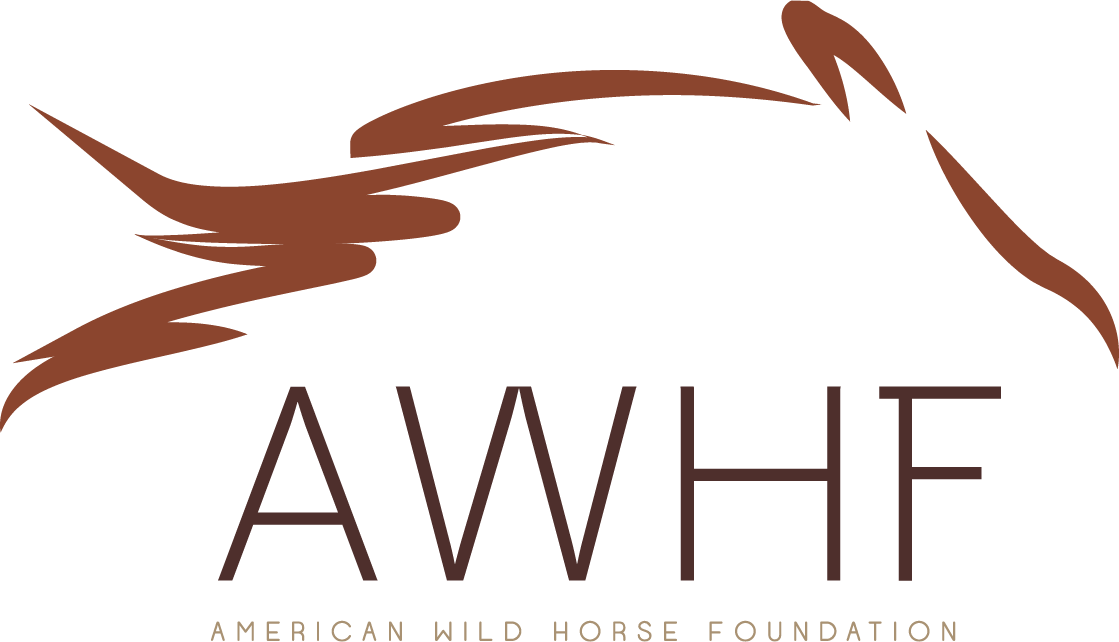 American Wild Horse Foundation