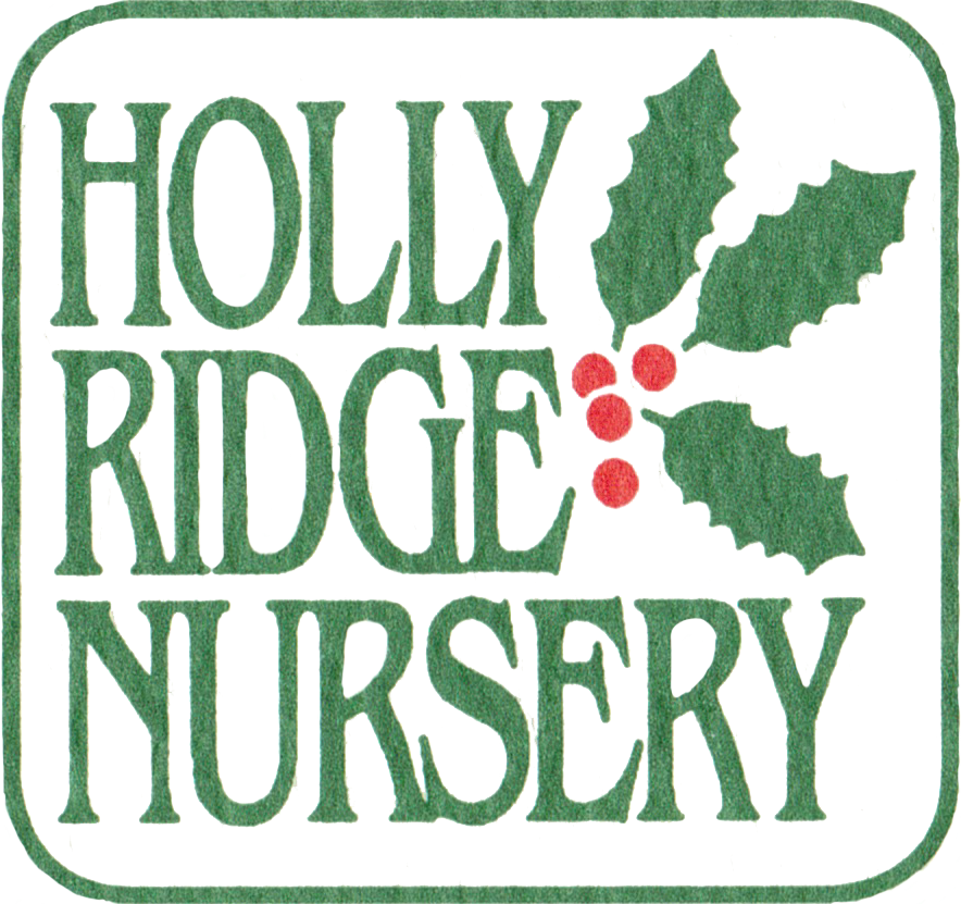 Holly Ridge Nursery