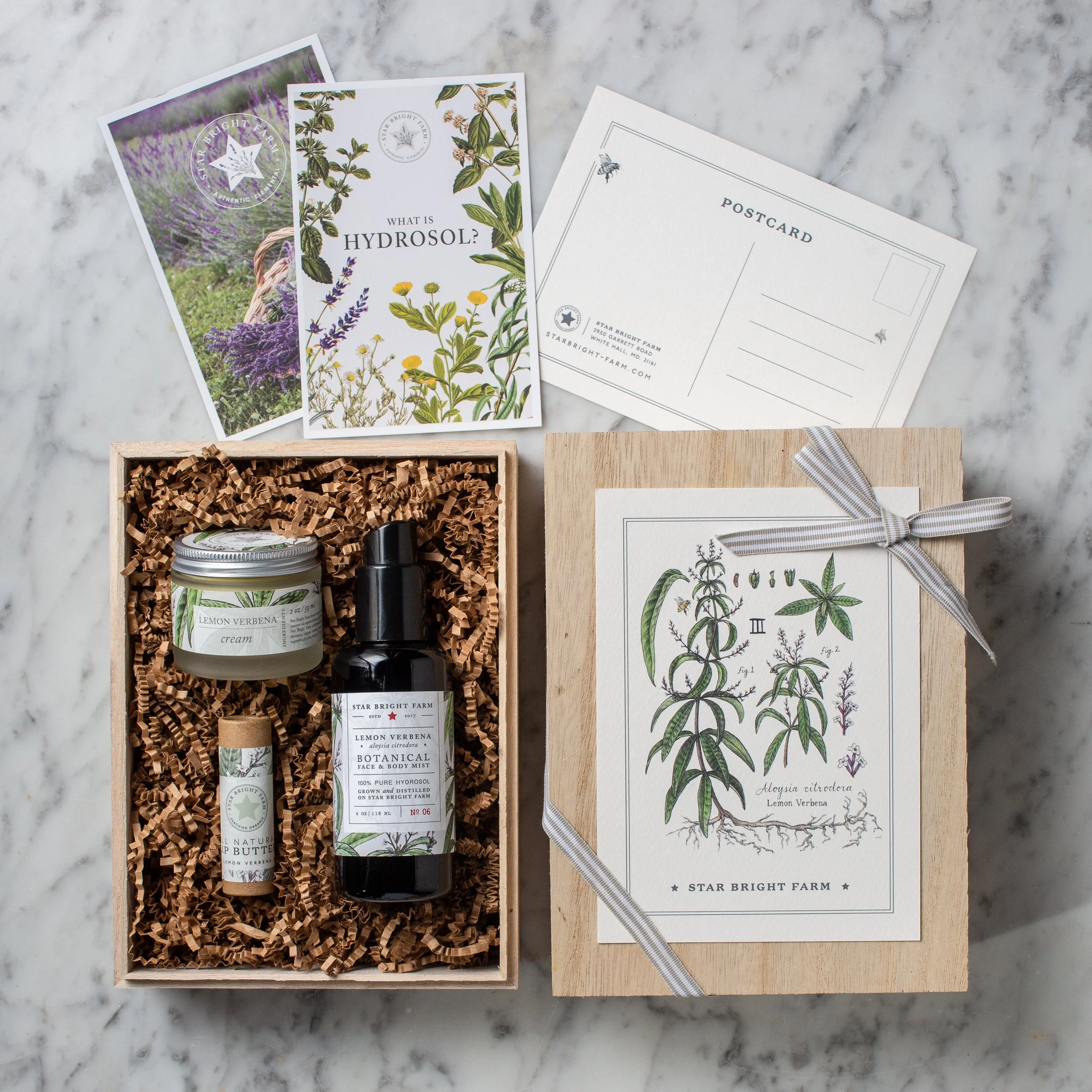 限定【Bright Stars Set】Herbivore Botanicals BRIGHT STARS Brightening Set – The Cosmetic Market