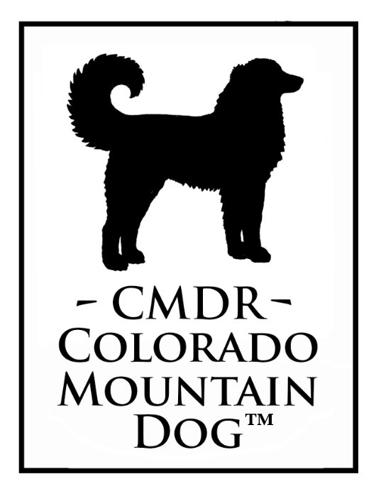 Colorado Mountain Dogs