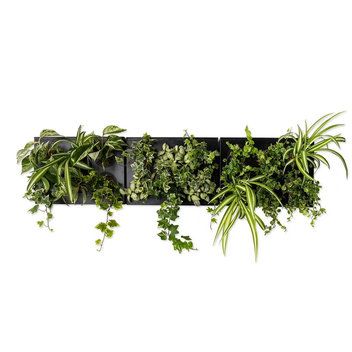 Ortisgreen Giardini Verticali Hoh Trio Smart Struttura Modulare Fai Da Te Diy Colore A Tua Scelta
